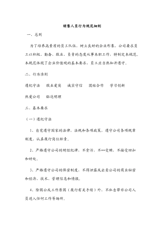 销售人员行为规范细则