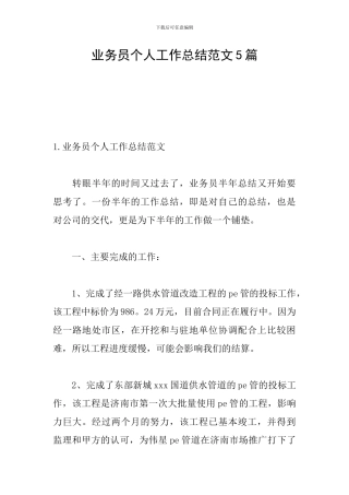 业务员个人工作总结范文5篇