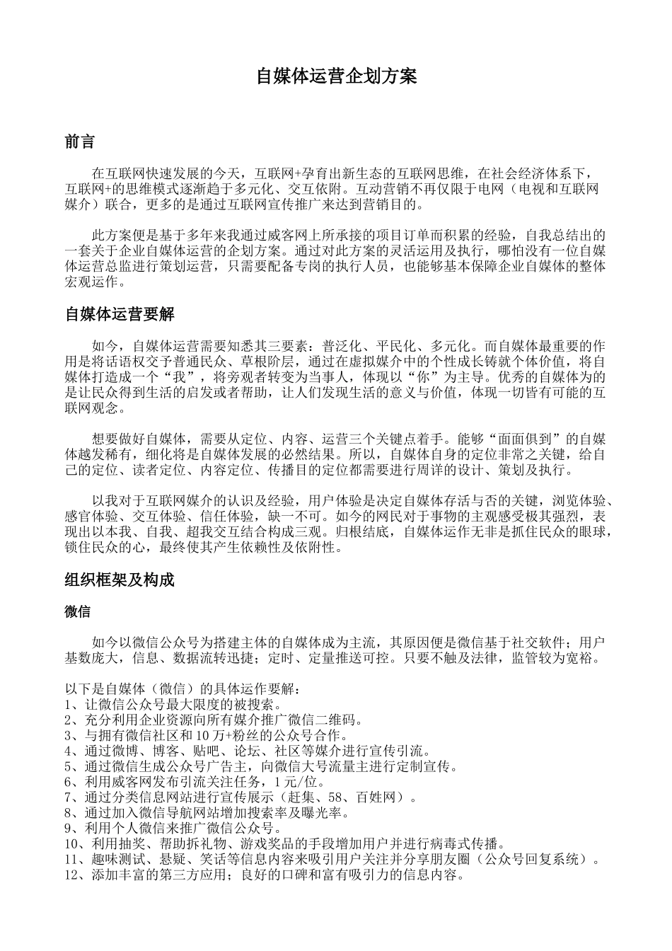 自媒体运营企划设计方案_第1页