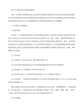 中医医院中长期发展规划(精)