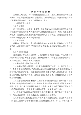 8.劳动力计划安排