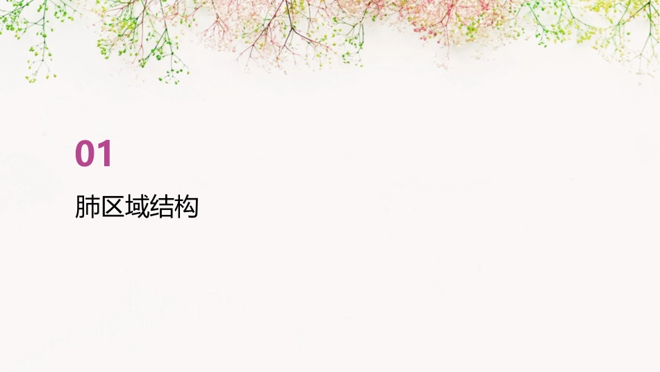 肺区域结构和小儿体位引流护理课件_第3页