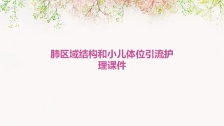 肺区域结构和小儿体位引流护理课件