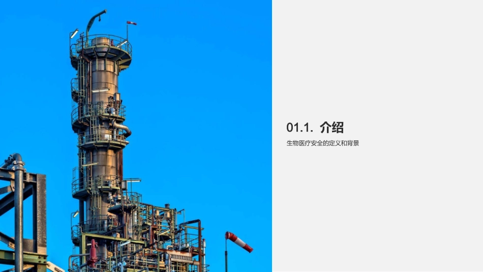 安全生物医疗保障-为健康与安全守护_第3页