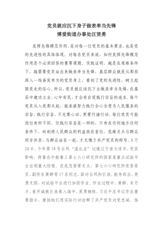 勇当先锋、做好表率心得体会