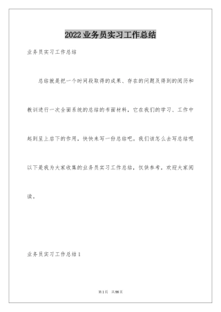 2024业务员实习工作总结