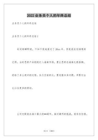 2024业务员个人的年终总结