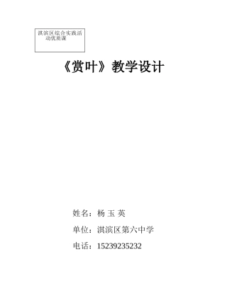 综合实践活动优质课