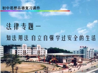 中考政治法律专题复习课件