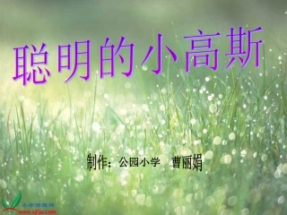 （教科版）二年级语文下册课件聪明的小高斯1