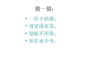 人教一年级下册语文_第14课《荷叶圆圆》PPT课件