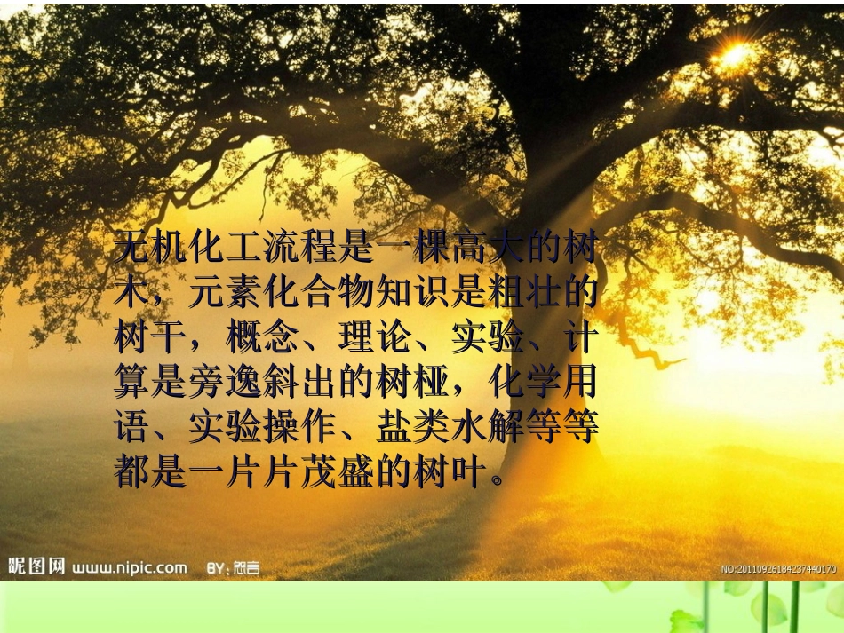 许国霞《优化思维提升能力-谈高考化学专题复习》-副本_第3页