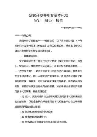 研究开发费用资本化专项审计