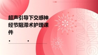 超声引导下交感神经节阻滞术护理课件
