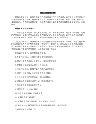 销售总监销售计划