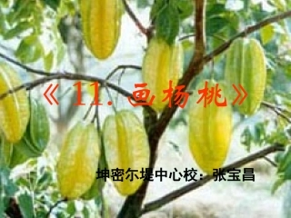 《11画杨桃》