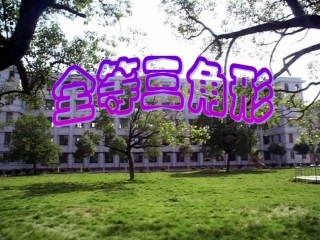 新人教版数学八年级上册131全等三角形课件