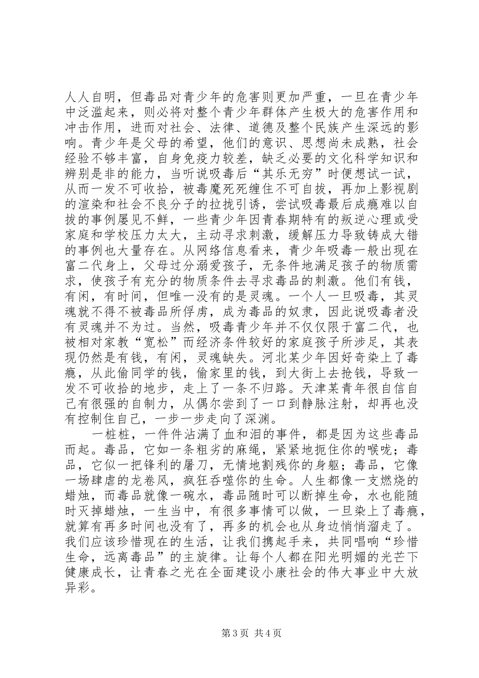 禁毒主题演讲_第3页