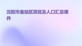 沈阳市皇姑区项目及人口汇总课件