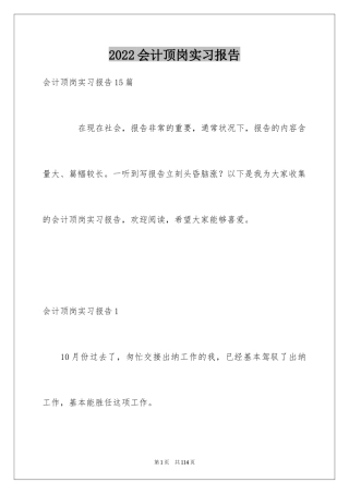 2024会计顶岗实习报告_2