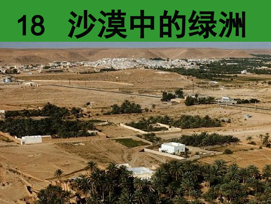 沙漠中的绿洲_第1页