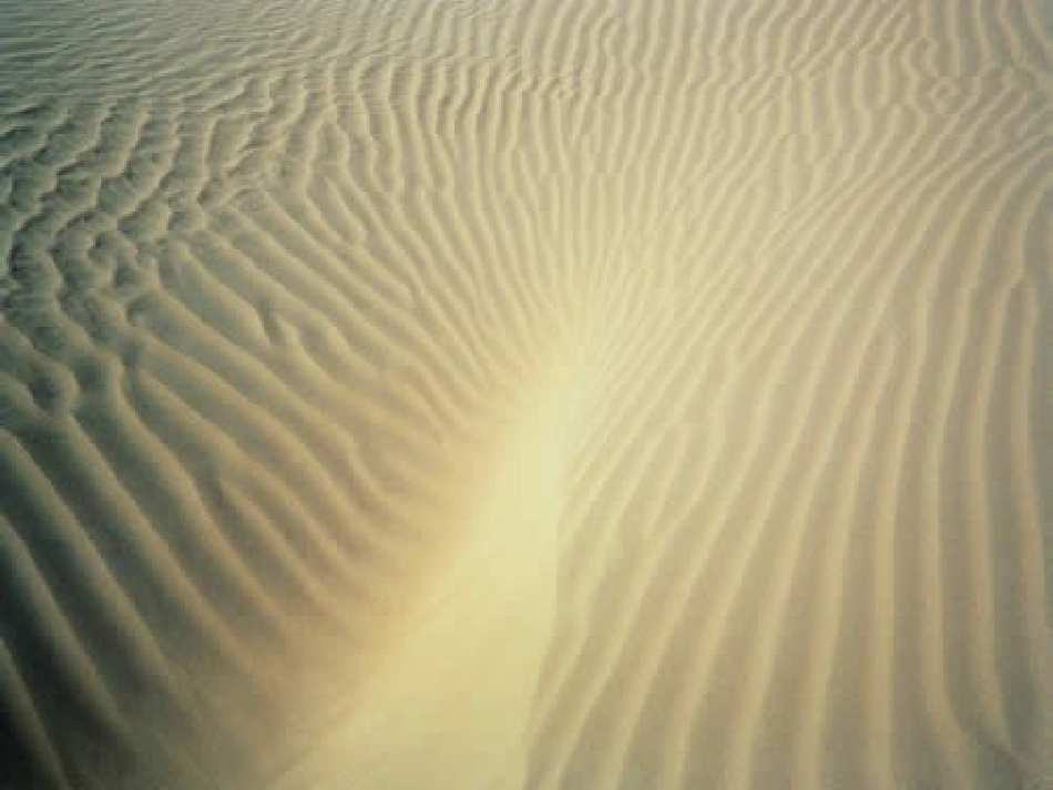 沙漠中的绿洲_第2页