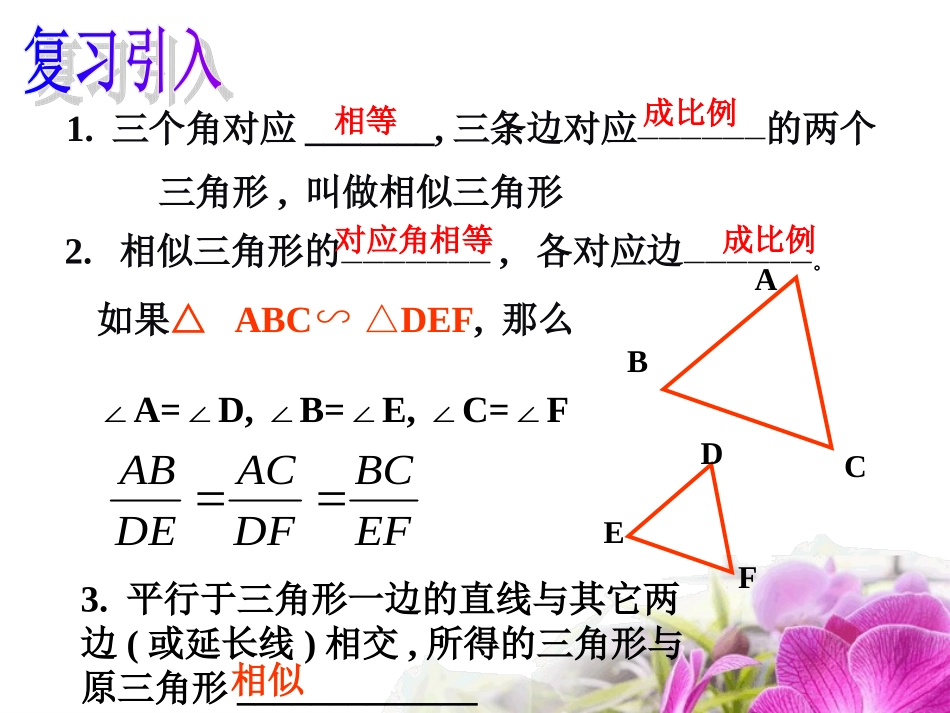 相似三角形的判定(第1课时）_第2页