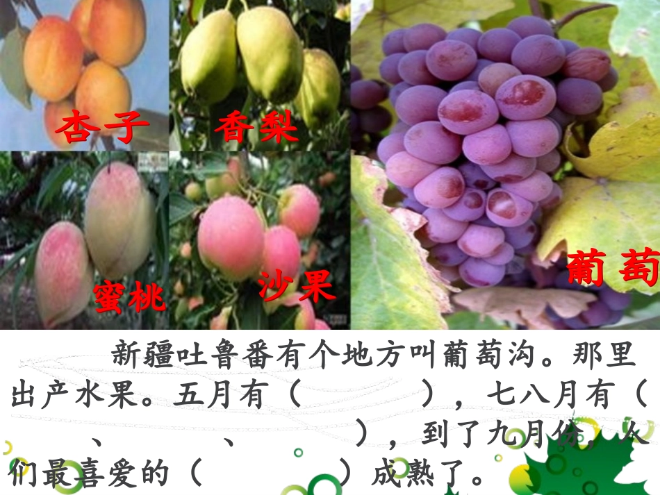 葡萄沟课件 (2)_第2页