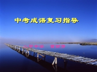 中考成语复习