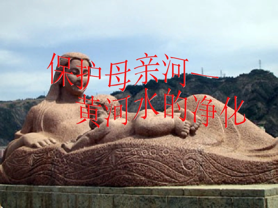 保护母亲河——黄河水的净化_第2页