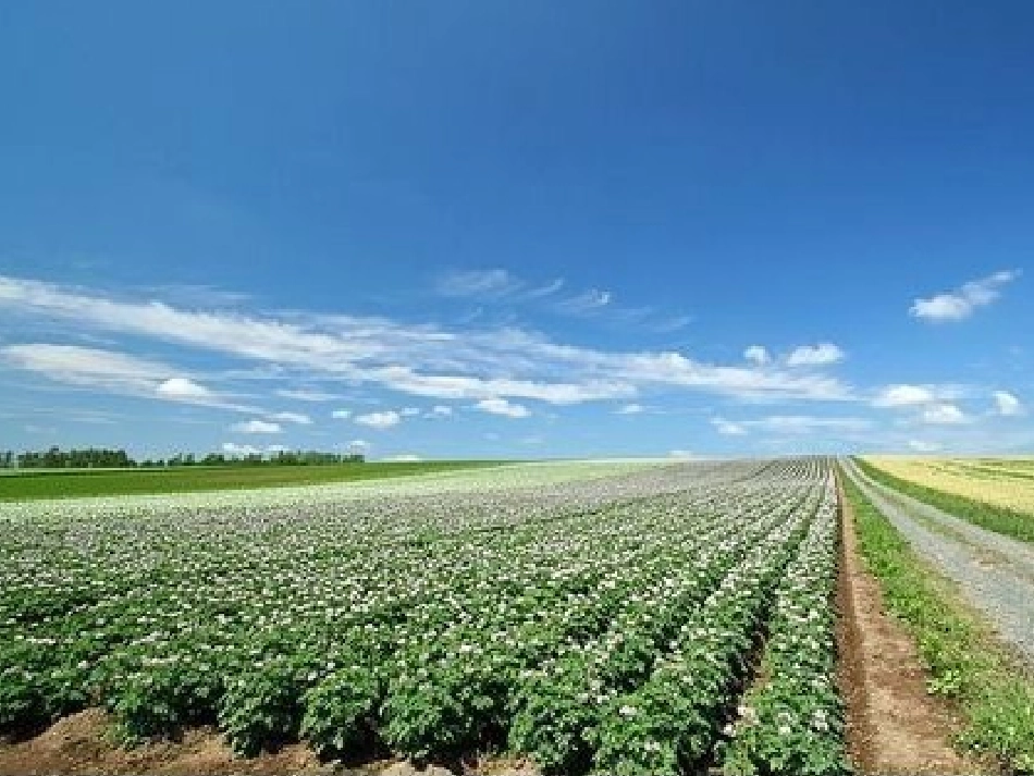 《走_让我们去植树》配乐有声朗读幻灯片_第2页