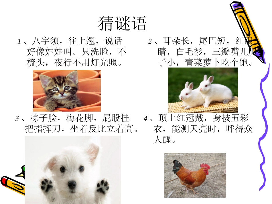 四年级—动物_第3页
