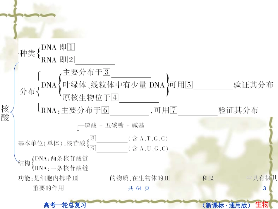 状元之路第一轮复习（生物课件）：B1-2-34_第3页