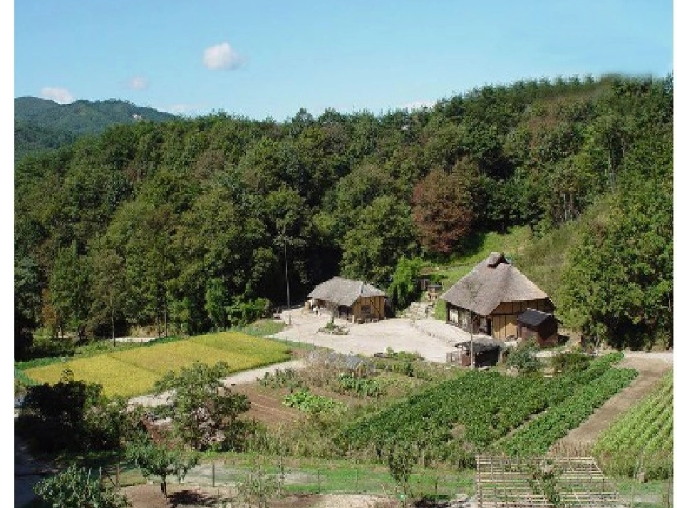 四下21乡下人家课件蒋敏贞_第2页