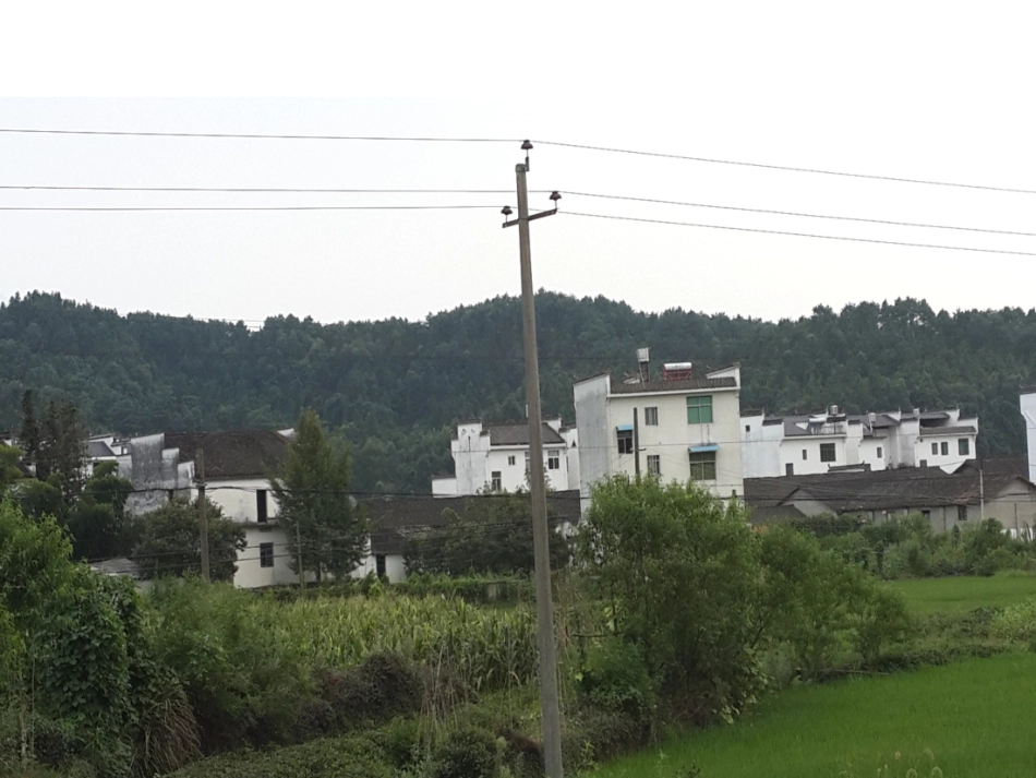 四下21乡下人家课件蒋敏贞_第3页