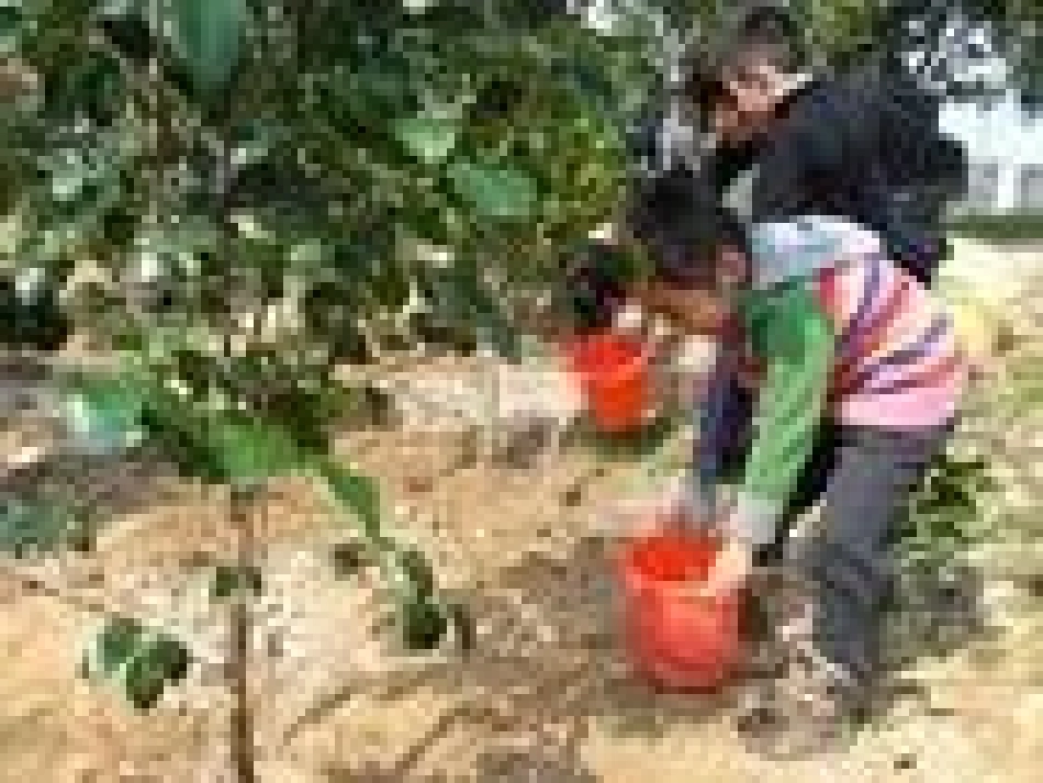 我们播种春天课件_第2页