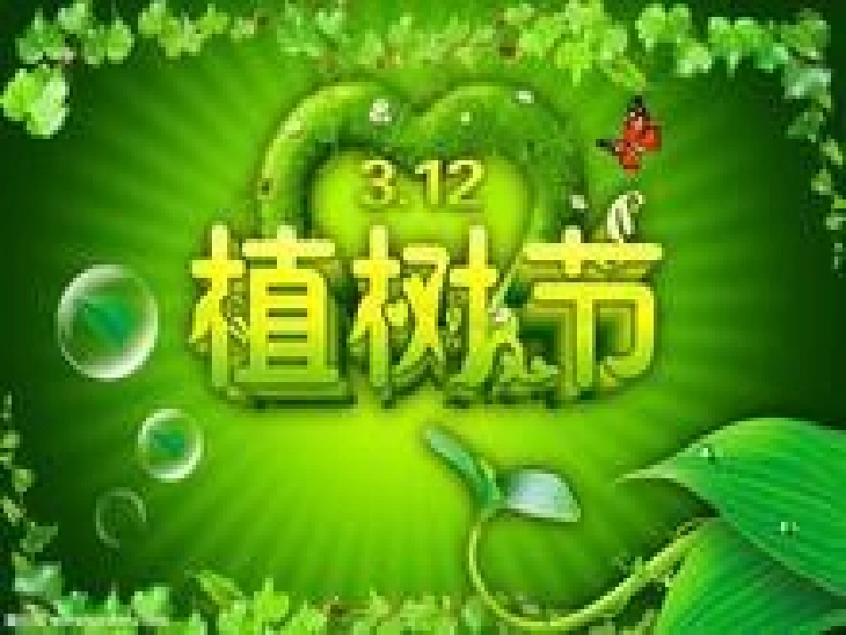 我们播种春天课件_第3页