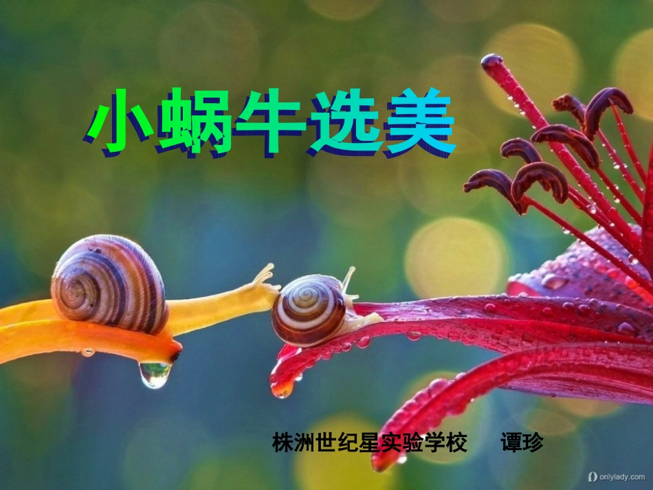 美术二年级《蜗牛选美》_第1页