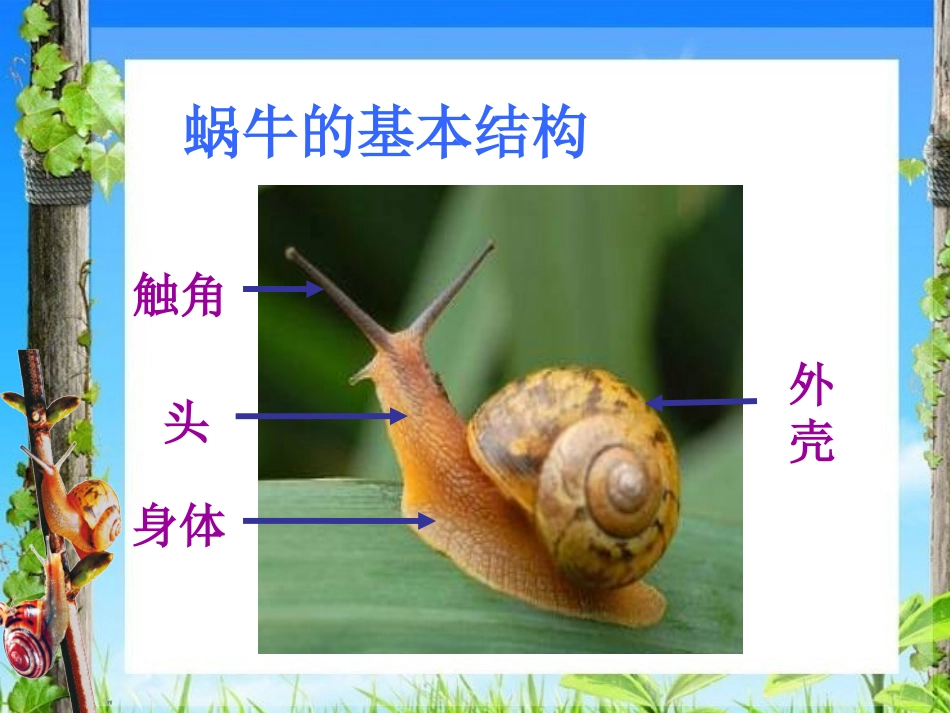 美术二年级《蜗牛选美》_第3页