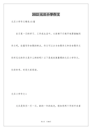 2024元旦小学作文_12