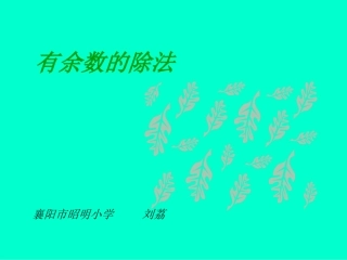 有余数的除法刘荔