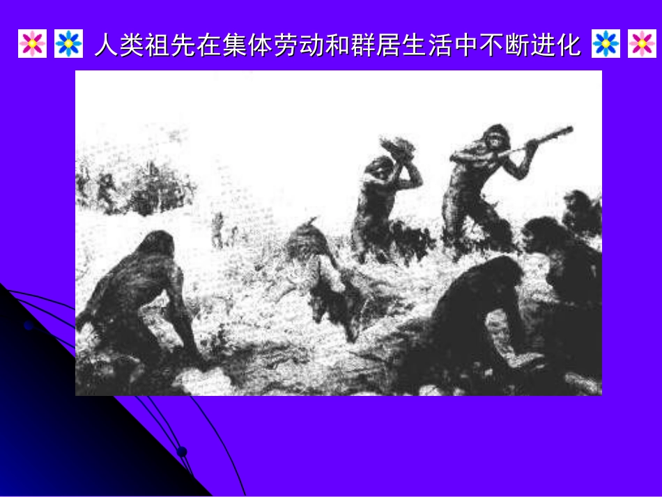 初中历史华师大版九年级上册第一单元第1课：《史前时期的人类》课件_第2页