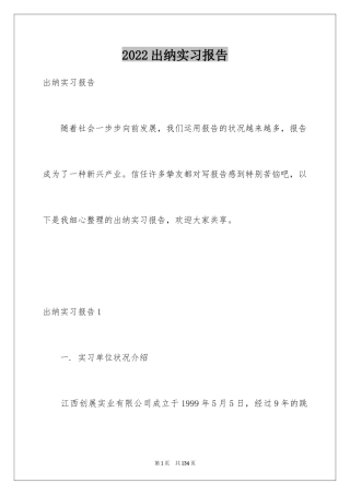 2024出纳实习报告_5