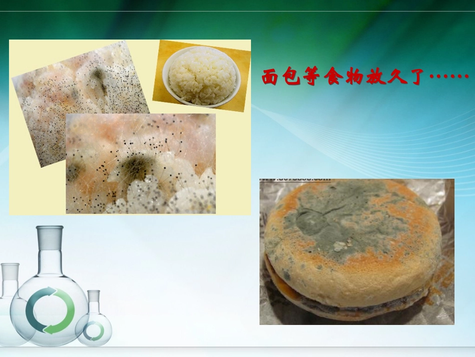 面包发霉了(定稿)_第1页