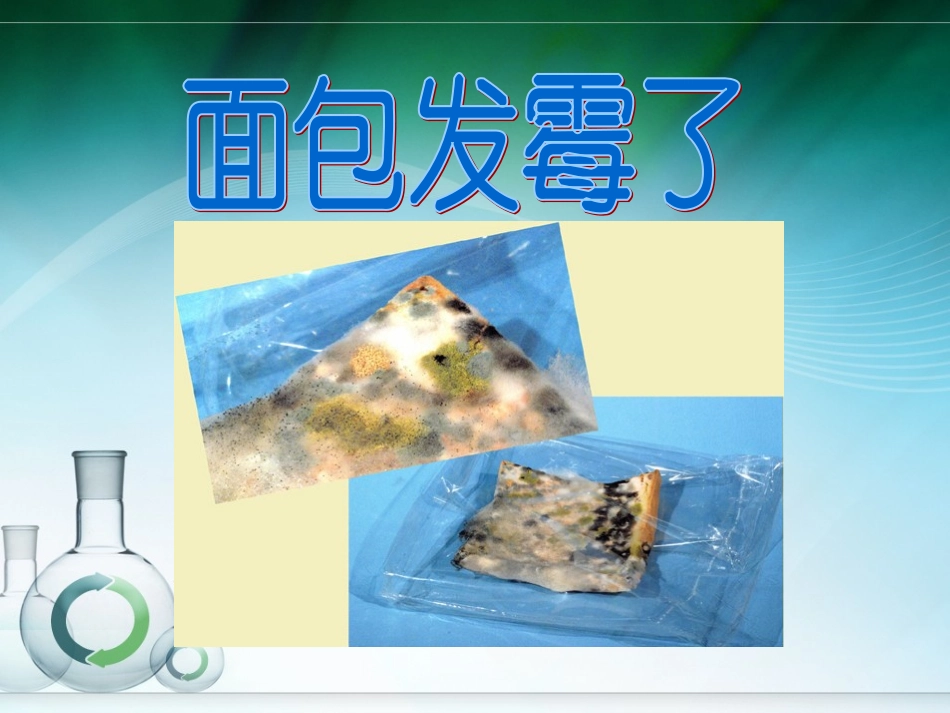 面包发霉了(定稿)_第2页