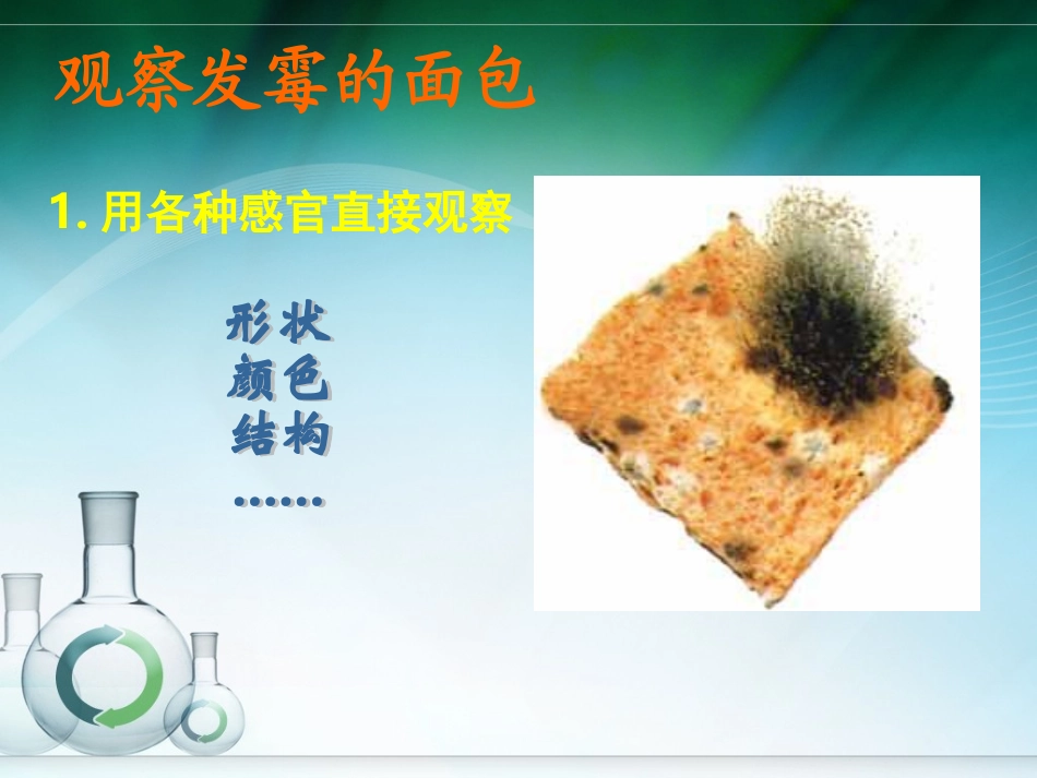 面包发霉了(定稿)_第3页