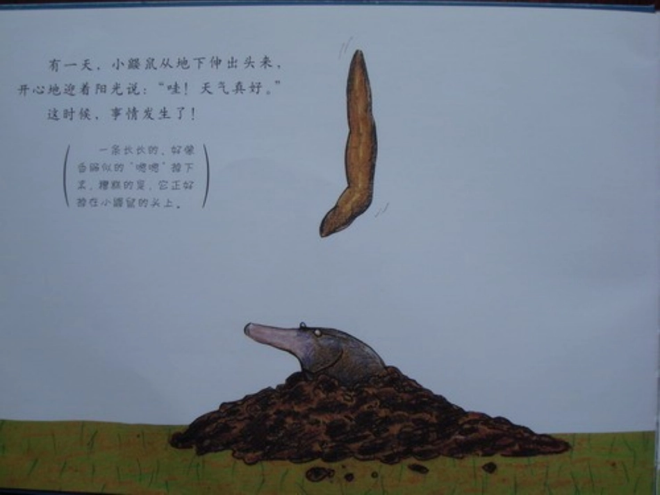 绘本故事-是谁嗯嗯在我的头上_第3页