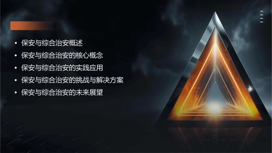 保安与综合治安解读课件1_第2页