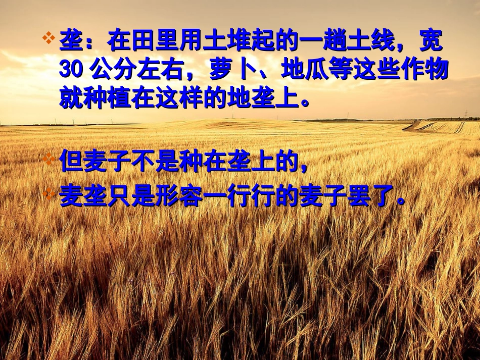 最大的麦穗 (2)_第2页