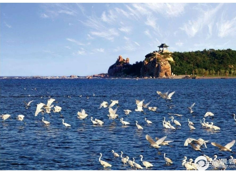 三年级上册语文第六单元1作文教学_第3页